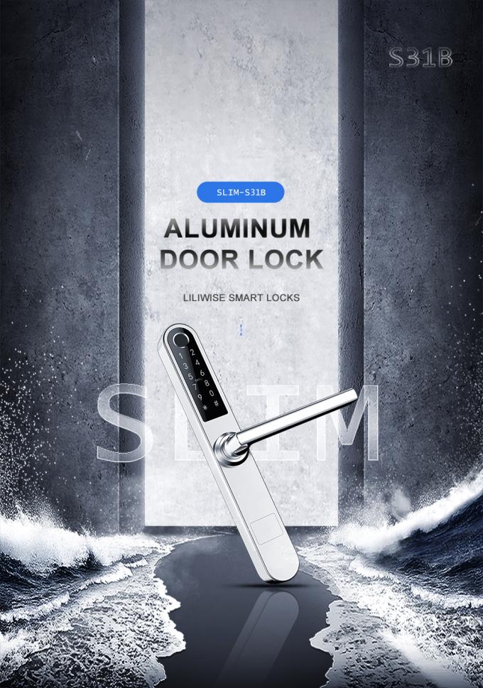 Aluminio moderno elegante del acero inoxidable de las cerraduras de puerta del sitio para el hogar/el centro comercial 0