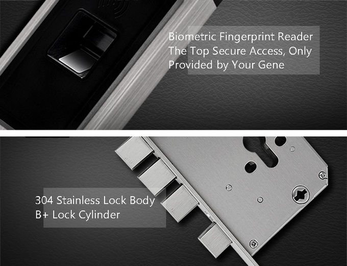 Cerradura biométrica de la puerta de la operación simple, interfaz USB de la entrada de puerta de la huella dactilar 2