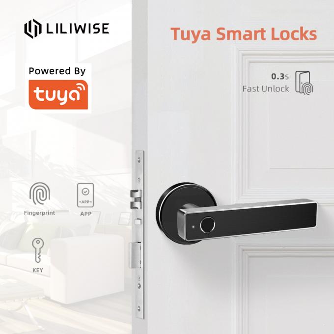 Cerradura de puerta elegante sin llave de Digitaces del tirador de puerta biométrico de la huella dactilar de la cerradura de puerta de Bluetooth del App de Tuya WiFi 0