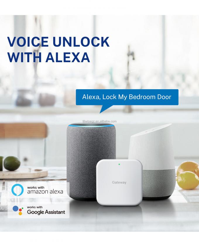 Tuya WiFi BLE Smart Door Lock con huella digital y teclado 4