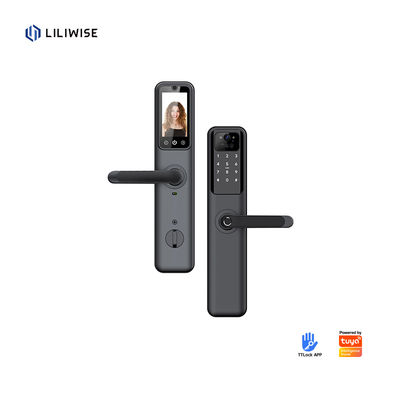 Cerradura de puerta inteligente con huella digital WiFi Bluetooth para puertas de acero de madera