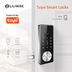 Código de la aplicación Tuya, cerrojo de entrada sin llave, panel táctil, tarjeta MF1, cerradura de puerta electrónica