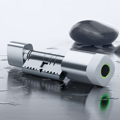 Tarjeta de huella digital de Liliwise RFID Cerradura de puerta impermeable WiFi ajustable BLE Tuya Ttlock Cerradura de cilindro inteligente para reemplazar el viejo mecánico