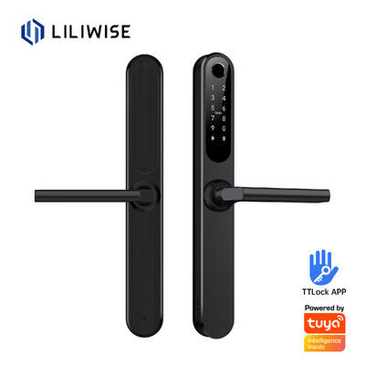 Liliwise Impermeable Alexa Aluminio Acero Ip66 Cerradura Electrónica Cerradura de puertas inteligentes con Wifi