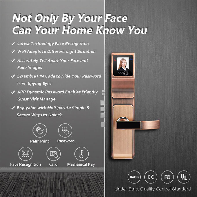 Cerradura infrarroja del tirador de puerta del reconocimiento de cara de Smart 3D para Family y Company 0
