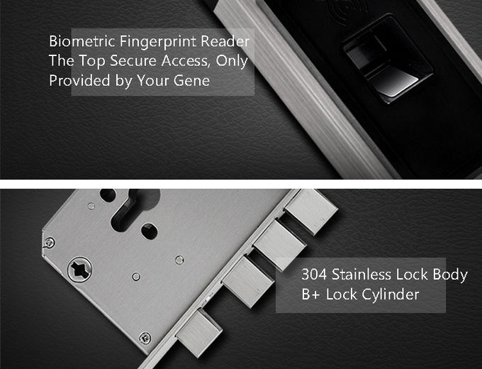 Sensor óptico moderno simple de la tarjeta de la cerradura de puerta de la huella dactilar del acero inoxidable RFID 2